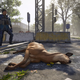 Illustration for article titled Should A Dead Deer In The Division 2 Drop Meat?